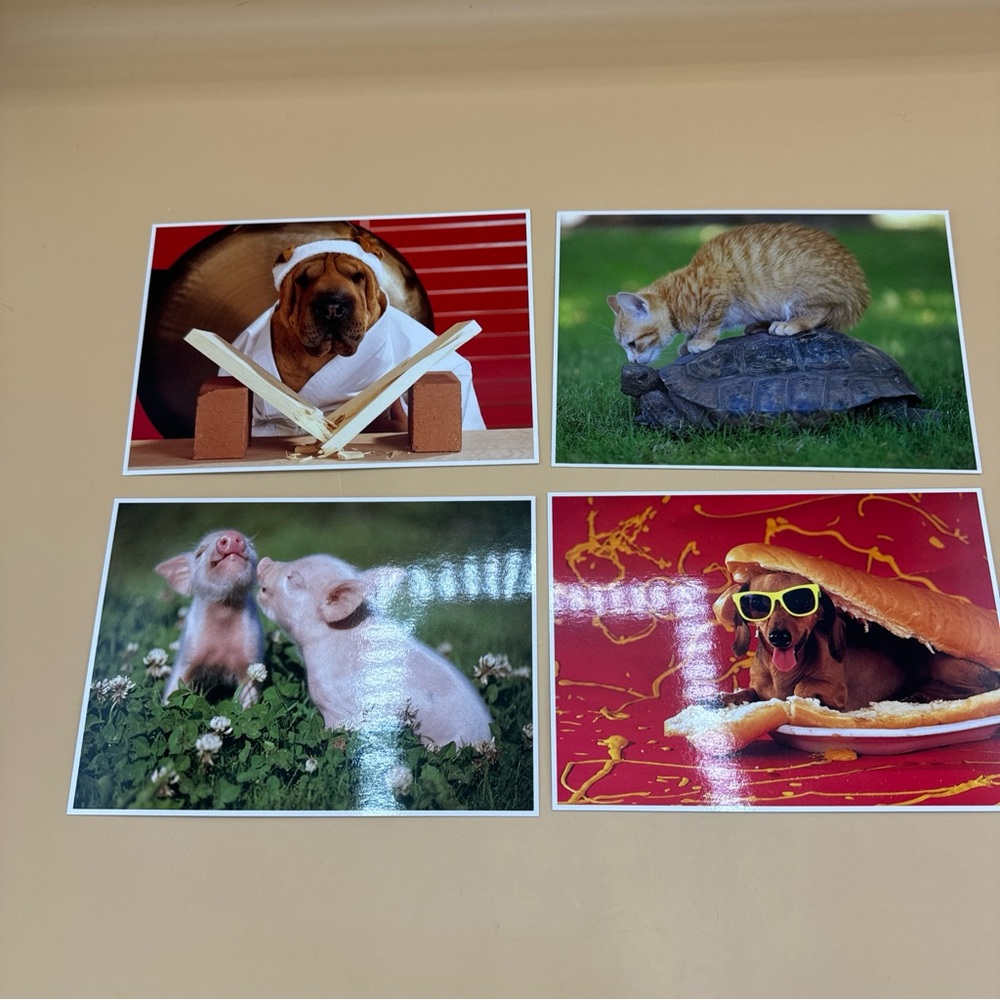 Vintage Cute Animals Postcards Lot of 4 Impact 2000 Hot Dog Ron Kimball Piglets